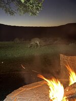 IMG_2570.jpeg