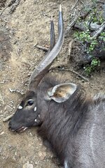 IMG_2408.jpeg