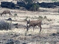 IMG_9816.jpeg