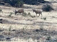 IMG_9808.jpeg
