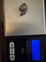 IMG_2646.jpeg