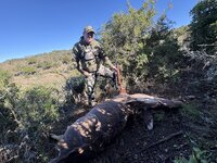 IMG_2505.jpeg