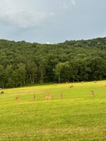 IMG_8152.jpeg