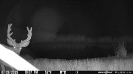 0350567D-894C-4A6B-BA47-51B6C1C70669.jpeg