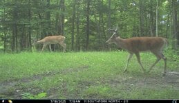 IMG_1755279250.jpg