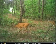 IMG_1754774207.jpg