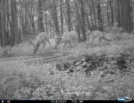 Many Bucks Bridge 7 18 2025 701 am.JPG