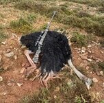 IMG_2428.jpeg