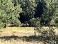 IMG_9847.jpeg