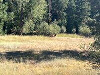 IMG_9845.jpeg
