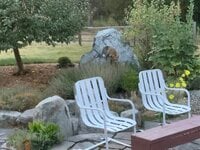 IMG_0085.jpeg