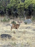 IMG_9849.jpeg