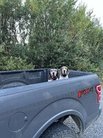 IMG_9853.jpeg