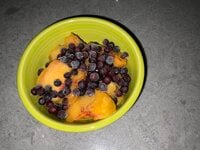 IMG_0093.jpeg
