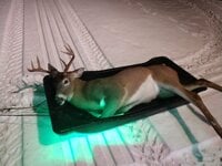 IMG_20201124_182435678.jpg