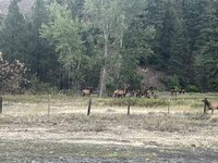 IMG_9885.jpeg