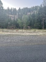 IMG_9883.jpeg