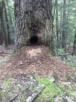 IMG_5211.jpeg