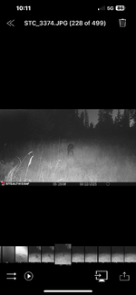 IMG_4178.png