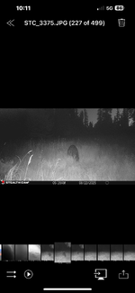 IMG_4179.png