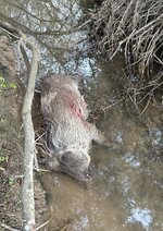IMG_2544.jpeg