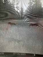 IMG_4188.jpeg