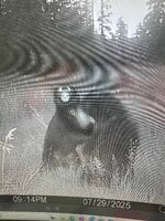 IMG_4189.jpeg