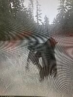 IMG_4191.jpeg