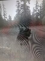 IMG_4192.jpeg