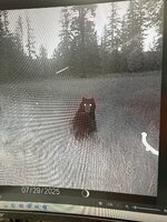 IMG_4199.jpeg
