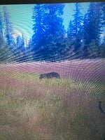 IMG_4193.jpeg