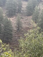 IMG_9898.jpeg