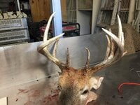IMG_0661.jpeg