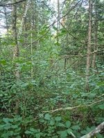 20250830_064453.jpg 20250830_064453.jpg