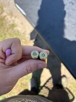 IMG_8940.jpeg