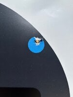 IMG_8942.jpeg