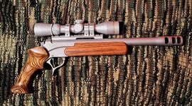 416.jpg