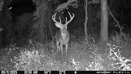 spypoint (28).jpg