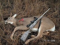 Spike111608a.jpg