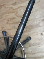 IMG_9938.jpeg