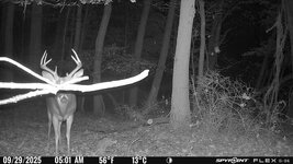 spypoint (34).jpg
