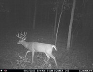 IMG_1829292179.jpg