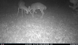 IMG_1852433145.jpg
