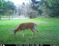 IMG_1814914617 (1).jpg