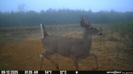 IMG_6242.jpeg