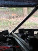 IMG_6252.jpeg