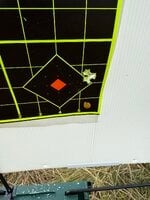 IMG_1142.jpeg