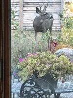 IMG_6656.jpeg