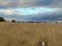 IMG_9975.jpeg