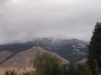 IMG_9977.jpeg